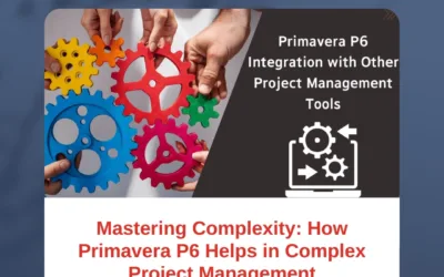 Mastering Complexity: How Primavera P6 Helps in Complex Project Management