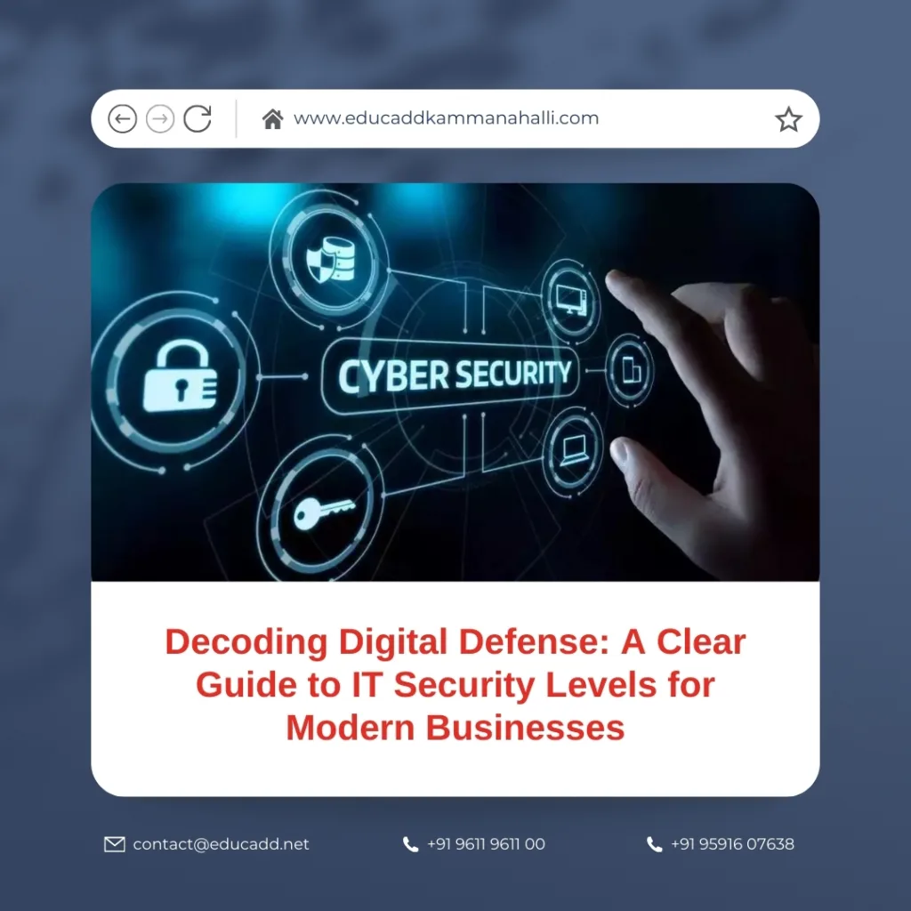 IT Security Levels Guide
